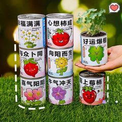 Bộ Khởi Đầu Vườn Hoa Mini - Hạt Giống Nảy Mầm Tự Động Cho Bé - Trải Nghiệm STEM Lý Thú Ở Nhà