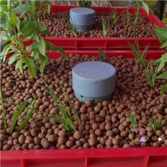 500gr Đất Sét Nung Siêu Nhẹ - Giải Pháp Tối Ưu Cho Cây Cảnh, Lan Trồng Hydroponics, Aquaponics, Ngăn Ngừa Thối Rễ