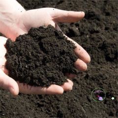 Đất Trồng Hữu Cơ Dinh Dưỡng - Túi 1kg Giá Thể Tối Ưu Cho Cây Kiểng Trong Nhà và Ngoài Trời