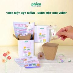 Bộ Kit Ươm Hạt Mini Tự Trồng Cây - Quà Tặng Ý Nghĩa Chăm Sóc Cây Cảnh Đáng Yêu cho Người Yêu Thi-Nhiên