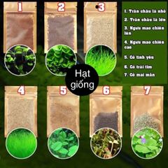Gói Hạt Giống Cây Thủy Sinh Đa Dạng 8g - Trân Châu, Ngưu Mao Chiên, Cỏ Tình Yêu - Tạo Môi Trường Bể Cá Tươi Sống