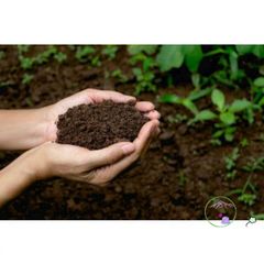 Đất Trồng Cây Dinh Dưỡng 500g Cho Cây Mini, Rau Quả Sạch - Giải Pháp Tối Ưu Cho Vườn Nhỏ Tại Nhà