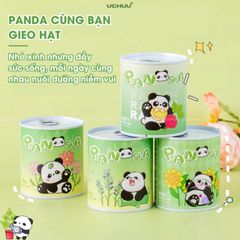 Bộ Hạt Giống UCHUU - Gieo Trồng Oải Hương, Hướng Dương, Dâu và Cà Chua Tại Nhà - Trải Nghiệm DIY Thú Vị Cho Mọi Người