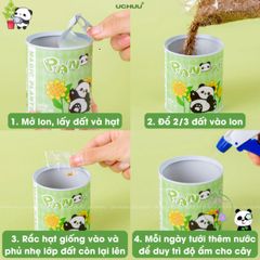Bộ Hạt Giống UCHUU - Gieo Trồng Oải Hương, Hướng Dương, Dâu và Cà Chua Tại Nhà - Trải Nghiệm DIY Thú Vị Cho Mọi Người
