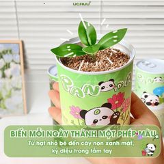 Bộ Hạt Giống UCHUU - Gieo Trồng Oải Hương, Hướng Dương, Dâu và Cà Chua Tại Nhà - Trải Nghiệm DIY Thú Vị Cho Mọi Người