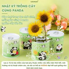 Bộ Hạt Giống UCHUU - Gieo Trồng Oải Hương, Hướng Dương, Dâu và Cà Chua Tại Nhà - Trải Nghiệm DIY Thú Vị Cho Mọi Người
