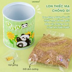 Bộ Hạt Giống UCHUU - Gieo Trồng Oải Hương, Hướng Dương, Dâu và Cà Chua Tại Nhà - Trải Nghiệm DIY Thú Vị Cho Mọi Người