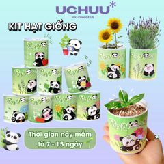 Bộ Hạt Giống UCHUU - Gieo Trồng Oải Hương, Hướng Dương, Dâu và Cà Chua Tại Nhà - Trải Nghiệm DIY Thú Vị Cho Mọi Người