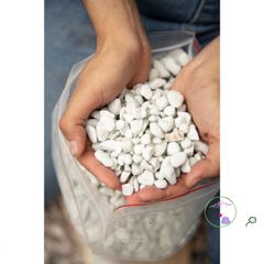 Hạt Perlite Lớn 6-12mm - Chất liệu Giúp Trồng Cây Kiểng, Tăng Cường Độ Thoáng Khí và Giữ Ẩm, Phù Hợp Với Giá Thể
