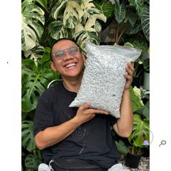 Hạt Perlite Lớn 6-12mm - Chất liệu Giúp Trồng Cây Kiểng, Tăng Cường Độ Thoáng Khí và Giữ Ẩm, Phù Hợp Với Giá Thể