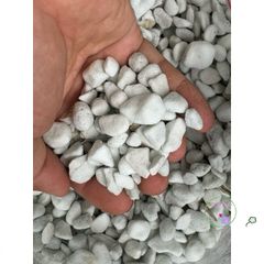 Hạt Perlite Lớn 6-12mm - Chất liệu Giúp Trồng Cây Kiểng, Tăng Cường Độ Thoáng Khí và Giữ Ẩm, Phù Hợp Với Giá Thể