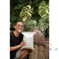 Hạt Perlite Lớn 6-12mm - Chất liệu Giúp Trồng Cây Kiểng, Tăng Cường Độ Thoáng Khí và Giữ Ẩm, Phù Hợp Với Giá Thể