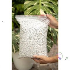 Hạt Perlite Lớn 6-12mm - Chất liệu Giúp Trồng Cây Kiểng, Tăng Cường Độ Thoáng Khí và Giữ Ẩm, Phù Hợp Với Giá Thể