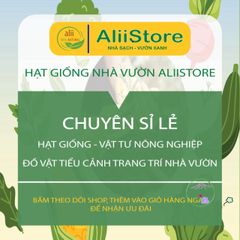 Đất Trồng Sen Đá & Xương Rồng Cao Cấp - Hỗn Hợp Dinh Dưỡng Chuyên Dùng Trồng Rau & Hoa Kiểng Sạch Tự Nhiên
