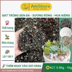Đất Trồng Sen Đá & Xương Rồng Cao Cấp - Hỗn Hợp Dinh Dưỡng Chuyên Dùng Trồng Rau & Hoa Kiểng Sạch Tự Nhiên