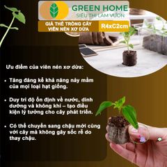 Viên Nén Xơ Dừa GreenHome - Giải Pháp Ơm Hạt Tăng Trưởng Nhanh Chóng, Thay Thế Nylon - Dinh Dưỡng 99% cho Cây Cảnh, Dâu Tây, Rau Hoa
