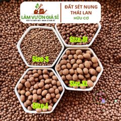 Đất Sét Nung 1 Lít Nhập Khẩu Thái Lan - Giải Pháp Trồng Sen Đá, Hoa Lan và Thủy Canh Chất Lượng Cao