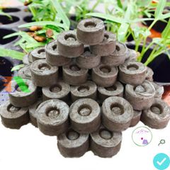 Gói Combo Viên Nén Ơm Hạt Giống - Tặng 5 Gói Hạt Giống Đất Nén Xơ Dừa Giúp Cây Phát Triển Mạnh Mẽ, Giữ Ẩm Tối Ưu