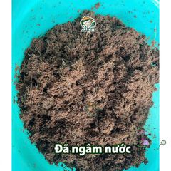 Viên nén xơ dừa hữu cơ 4-5kg - Giá thể lý tưởng cho trồng rau sạch, ươm cây giống và hoa kiểng, tiết kiệm và an toàn cho cây trồng