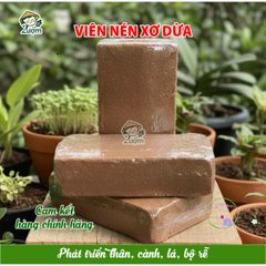 Viên nén xơ dừa hữu cơ 4-5kg - Giá thể lý tưởng cho trồng rau sạch, ươm cây giống và hoa kiểng, tiết kiệm và an toàn cho cây trồng