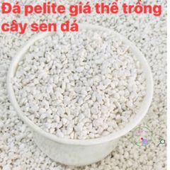 Túi 1 kg Đá Perlite - Phụ Gia Trồng Sen Đá và Xương Rồng - Giúp Thoát Nước Tốt cho Cây Cảnh, Thủy Canh, Làm Vườn