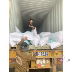 Túi 1 kg Đá Perlite - Phụ Gia Trồng Sen Đá và Xương Rồng - Giúp Thoát Nước Tốt cho Cây Cảnh, Thủy Canh, Làm Vườn