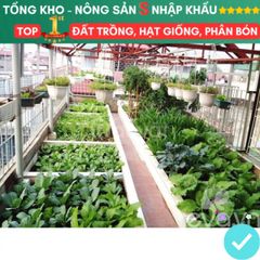 Mụn Xơ Dừa Đã Qua Xử Lý 1kg - Đất Trồng Cây An Toàn, Dinh Dưỡng Cho Rau Mầm, Hoa, Cây Cảnh - Tiện Lợi và Thân Thiện Với Môi Trường