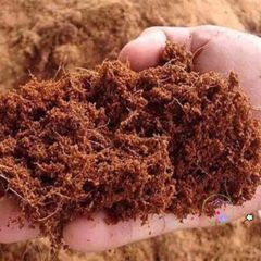 Mùn xơ dừa đã xử lý 1kg cho cây lan, cây cảnh, rau mầm - Giữ độ ẩm, tăng cường dinh dưỡng, hữu cơ thân thiện môi trường