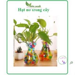Hạt Nở Tinh Thể Dinh Dưỡng Cho Cây Thủy Sinh - 10g (300-400 Viên) - Trang Trí Nội Thất và Cắm Hoa Đẹp Mắt