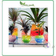 Hạt Nở Tinh Thể Dinh Dưỡng Cho Cây Thủy Sinh - 10g (300-400 Viên) - Trang Trí Nội Thất và Cắm Hoa Đẹp Mắt