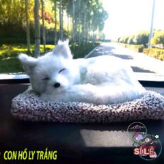 Thú Bông Cáo Trắng HỒ LY TRẮNG - Đồ Trang Trí Xe Hơi, Lọc Không Khí Hiệu Quả, Giống Thật, Dễ Thương, Không Gian Sống Tươi Mát