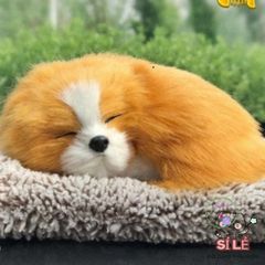 Thú Bông Cáo Trắng HỒ LY TRẮNG - Đồ Trang Trí Xe Hơi, Lọc Không Khí Hiệu Quả, Giống Thật, Dễ Thương, Không Gian Sống Tươi Mát