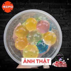 Hạt Nở Siêu Đẹp Nhiều Màu Sắc - Đồ Chơi Trang Trí Cây Cảnh Đa Năng tại MIPO Shop - Trải Nghiệm Vui Vẻ Cho Gia Đình