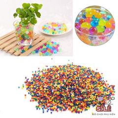 Bộ 1000 Viên Hạt Nở Màu Sắc Cầu Vồng - Trang Trí Lọ Hoa Sống Động, Tăng Cường Trải Nghiệm Vui Chơi Cho Trẻ Em