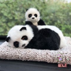 Thú Bông Hình Chó Mèo Khử Mùi Ô Tô - Phụ Kiện Trang Trí Xe Hơi Than Hoạt Tính, Dễ Thương và Hữu Ích