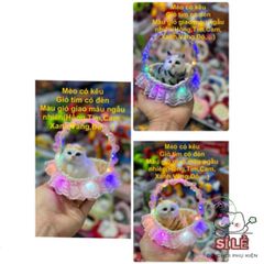 Mẫu Thú Nhồi Bông Khử Mùi Ô Tô & Văn Phòng - Chó Mèo Cao Cấp Than Hoạt Tính Trang Trí Táp-lô Và Không Gian Sống