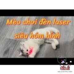 Đèn Pin Laser 303 - Đèn Chiếu Tia Xanh Đỏ Đa Năng cho Thuyết Trình và Giải Trí Thú Cưng, Bền Bỉ Chống Nước và An Toàn cho Trẻ Em