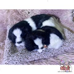 Thú Bông Chó Mèo Than Hoạt Tính - Đồ Trang Trí Dễ Thương cho Ô Tô và Không Gian Sống, Món Quà Tuyệt Vời Cho Trẻ Nhỏ