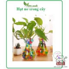 Hạt Nở Tinh Thể Đa Sắc 100gr - Hạt Nở Cây Cảnh Sáng Tạo Trang Trí Không Gian Sống Rực Rỡ và An Toàn
