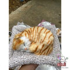 Gấu Bông Mèo Vằn Vàng Than Hoạt Tính - Người Bạn Dễ Thương Giúp Lọc Không Khí Và Khử Khuẩn Cho Không Gian Sống Của Bạn