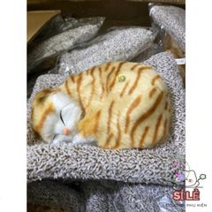 Gấu Bông Mèo Vằn Vàng Than Hoạt Tính - Người Bạn Dễ Thương Giúp Lọc Không Khí Và Khử Khuẩn Cho Không Gian Sống Của Bạn