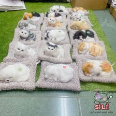 Chó Bông Nhồi Than Hoạt Tính Khử Mùi Cho Xe Hơi - Trang Trí Dễ Thương và Lọc Không Khí An Toàn Cho Gia Đình