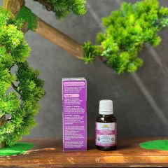 Nature's Way Kids Smart Vitamin D3 Drops 13ml - Tăng cường Canxi hỗ trợ xương và răng chắc khỏe cho trẻ em