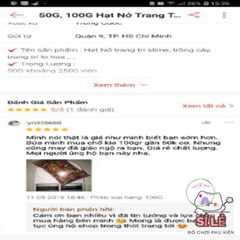 Hạt Nở Tinh Thể Trang Trí - Sắc Màu Tươi Tắn 50G, 100G Cho Slime và Trồng Cây - Nghệ Thuật DIY Sáng Tạo