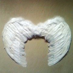 Cánh Cosplay Thiên Thần và Ác Quỷ - Màu Đen & Trắng, Kích Thước 45x35 cm, Trang Phục Hóa Trang Miễn Phí Vận Chuyển