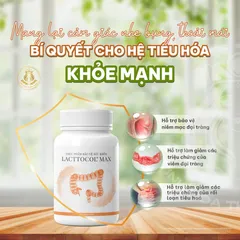Lacttocol Max - Viên Uống Hỗ Trợ Tiêu Hóa, Giảm Đau Bụng, Viêm Đại Tràng, Đầy Hơi, Khó Tiêu, Tăng Cường Sức Khỏe Đường Ruột