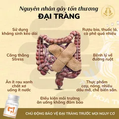 Lacttocol Max - Viên Uống Hỗ Trợ Tiêu Hóa, Giảm Đau Bụng, Viêm Đại Tràng, Đầy Hơi, Khó Tiêu, Tăng Cường Sức Khỏe Đường Ruột