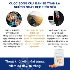 Lacttocol Max - Viên Uống Hỗ Trợ Tiêu Hóa, Giảm Đau Bụng, Viêm Đại Tràng, Đầy Hơi, Khó Tiêu, Tăng Cường Sức Khỏe Đường Ruột