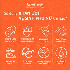 Khăn ướt vệ sinh vùng kín Femfresh Intimate Skincare - Hỗ trợ làm sạch, khử mùi, nuôi dưỡng da - Xuất xứ Anh, 25 tờ