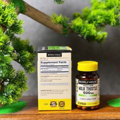 Viên uống bổ gan Mason Natural Milk Thistle 500mg - Hỗ trợ giải độc gan, bảo vệ chức năng gan (60 viên)